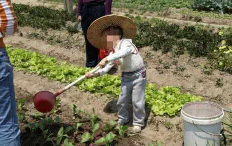 农村种田补贴 江苏省农村种田补贴