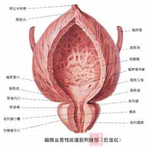 叽咕男女变形记 男女这物变形说明你老了