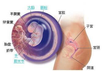 胎儿臀位与睡姿有关吗 胎位不正对胎儿有影响吗