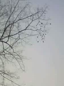 你是一段特别的留白 你是一段特别的留白（1）【图文】