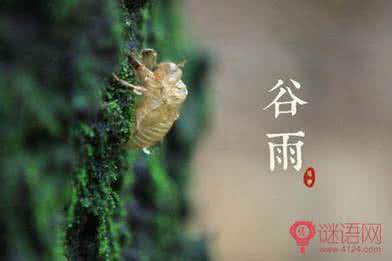 谷雨节气谚语 谷雨节气 谷雨节气有哪些谚语