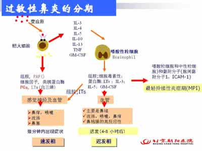 变应性鼻炎 非变应性鼻炎与变应性鼻炎患者患病相关因素对比