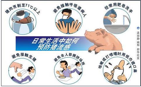 鸭流感怎么治疗 流感致69人死亡 如何正确预防流感