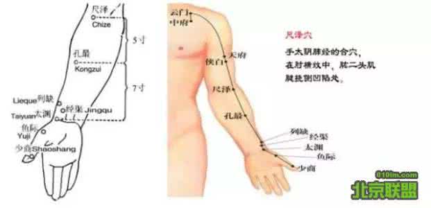 尺泽 简单学一穴——尺泽