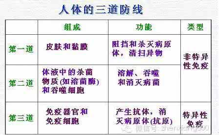人体器官保质期 人体器官也有“最佳保质期”教你防护妙招