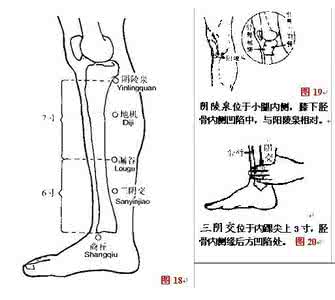 阴陵泉 【按摩治疗】祛湿妙法：三阴交推到阴陵泉