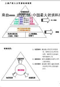 平安保险上海网点 上海平安保险 平安保险上海网点摘要