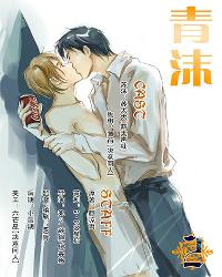 未曾听说我爱你 国内那些你曾听过或未曾听过的优声6