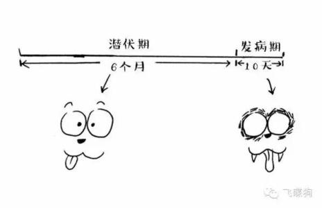 训犬师的工资是多少 训犬的基本原理