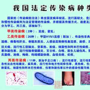 乙类传染病上报时间 乙类传染病