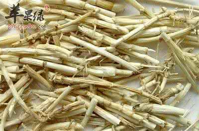 白茅根的功效与作用 白茅根图片 白茅根图片_白茅根的功效与作用