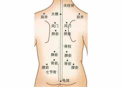 腰背部疼痛 腰背部穴位表