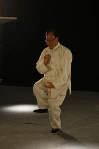 太极拳推手奥秘 解密太极拳 奥秘——解密太极拳_解密太极拳