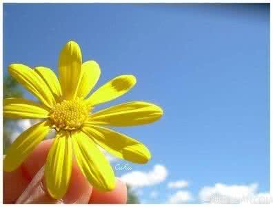 欣赏一剂良药阅读答案 【荐读】欣赏是一剂良药