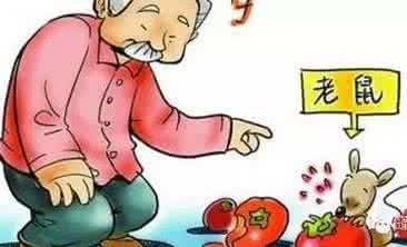 怎样预防出血热 肾综合征出血热 如何预防肾综合征出血热