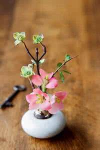 微型插花艺术 微型插花