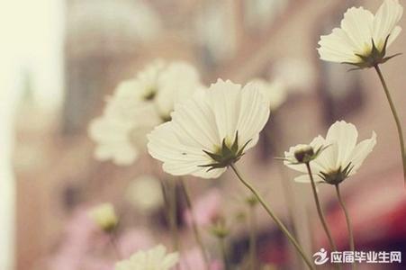 选择性遗忘 快乐,就是选择性的遗忘【人生感悟】