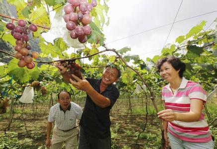 村上春树txt全集下载 村上有春树,村下有摇钱树