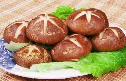 蘑菇怎么吃最有营养 如何巧吃7大蘑菇让营养翻倍