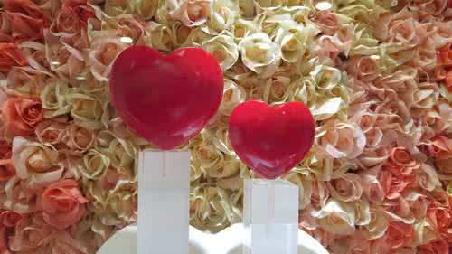 小米6拍照样张 LG G4拍照样张怎么样