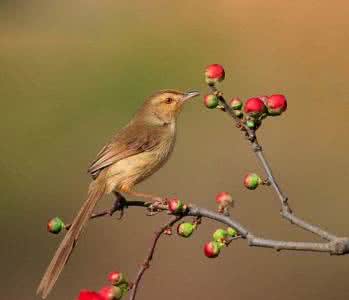 微言大义 微言碎语749