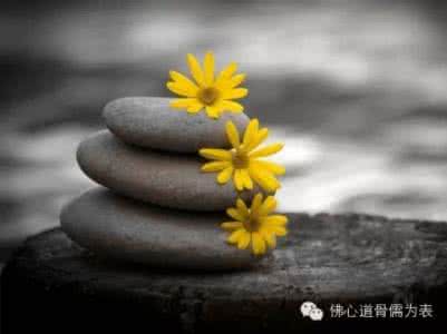 快乐人生三句话 人生路上三句话