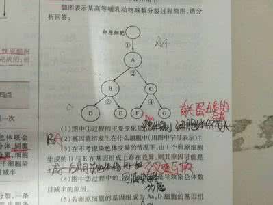 染色体变异 染色体变异可以检查吗？