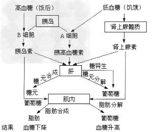 创伤后机体反应 机体低温反应 我们的大脑如何对机体选择做出反应