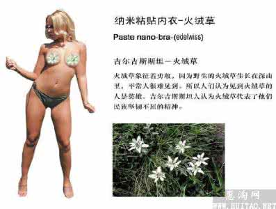 乳贴是什么 有没有什么乳贴贴乳腺增生呢