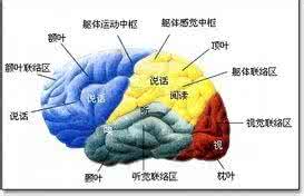 测试大脑年龄多少正常 糖尿病患者大脑老化比正常年龄老化快5年