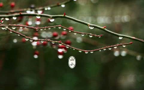 2017年雨水节气 2015年雨水节气最新祝福