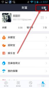 支付宝宝令 支付宝安全手机宝令怎么开通设定并查看？