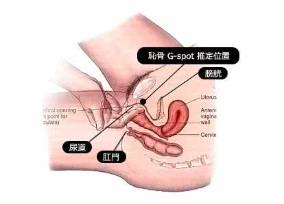 女人身体不能的碰地方 女人身体上最敏感的地方介绍