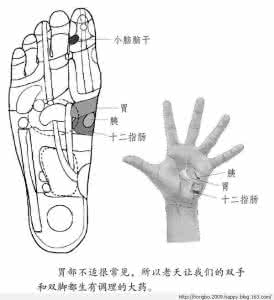 阳维脉 专治感冒的特效脉——阳维脉