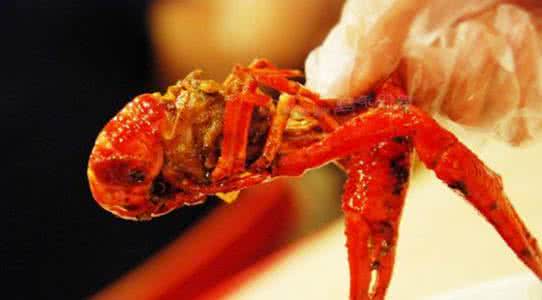 小龙虾可食用部分 小龙虾可食用部分 食用小龙虾尿变可乐色