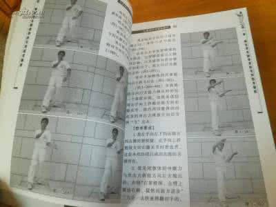咏春拳秘传狠招集粹 咏春拳秘传狠招集粹 塑身12狠招全奉献