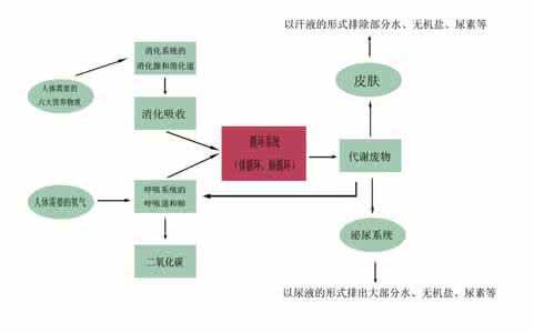 酵素与疾病 酵素与各种疾病