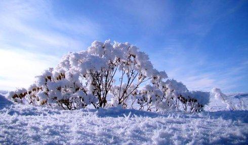 描写冬雪的诗句 冬雪里的一场旅行