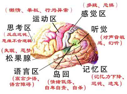 神经衰弱的主要症状 症状:神经衰弱的主要症状有哪些?