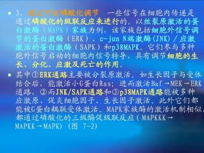 信号转导与疾病 信号转导异常与疾病 10种口腔异常所带来的疾病信号