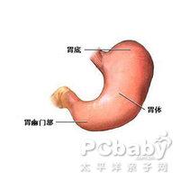 胃酸缺乏 诊断详述胃酸缺乏