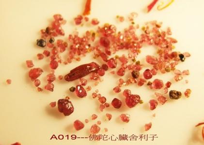 舍利子 舍利子清晰多图