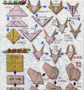 12星座智商排名大比拼 十二星座能力大比拼 十二卷叶插发根大比拼！