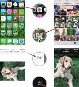 快用苹果助手 快用苹果助手教你玩转iOS8相册