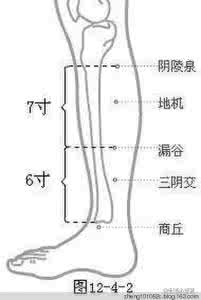 健脾祛湿 祛湿妙招——推“健脾线”