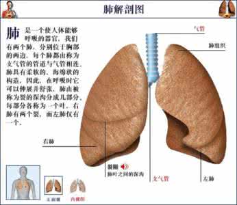 治慢性肺炎的中药秘方 治肺炎秘方 润你的肺，内附两秘方，涨一个姿势