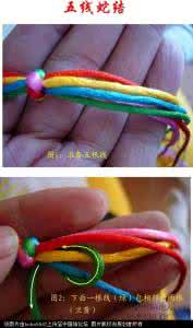 五线蛇结编法图解 090.五线蛇结和八股结的图解---中国结