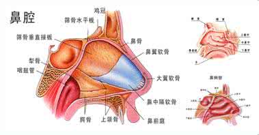 鼻炎的有效治疗方法 鼻炎zui有效的治疗方法