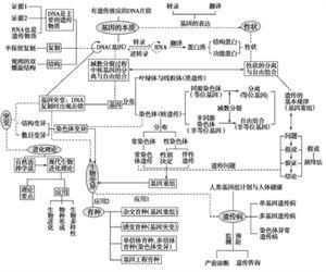 高中化学复习网络图