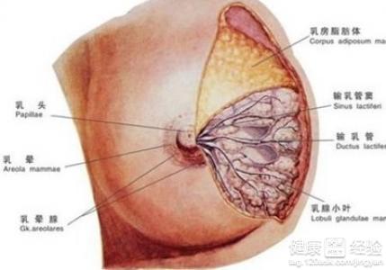 乳腺囊肿的治疗方法 女性乳腺囊肿的治疗方法是什么？